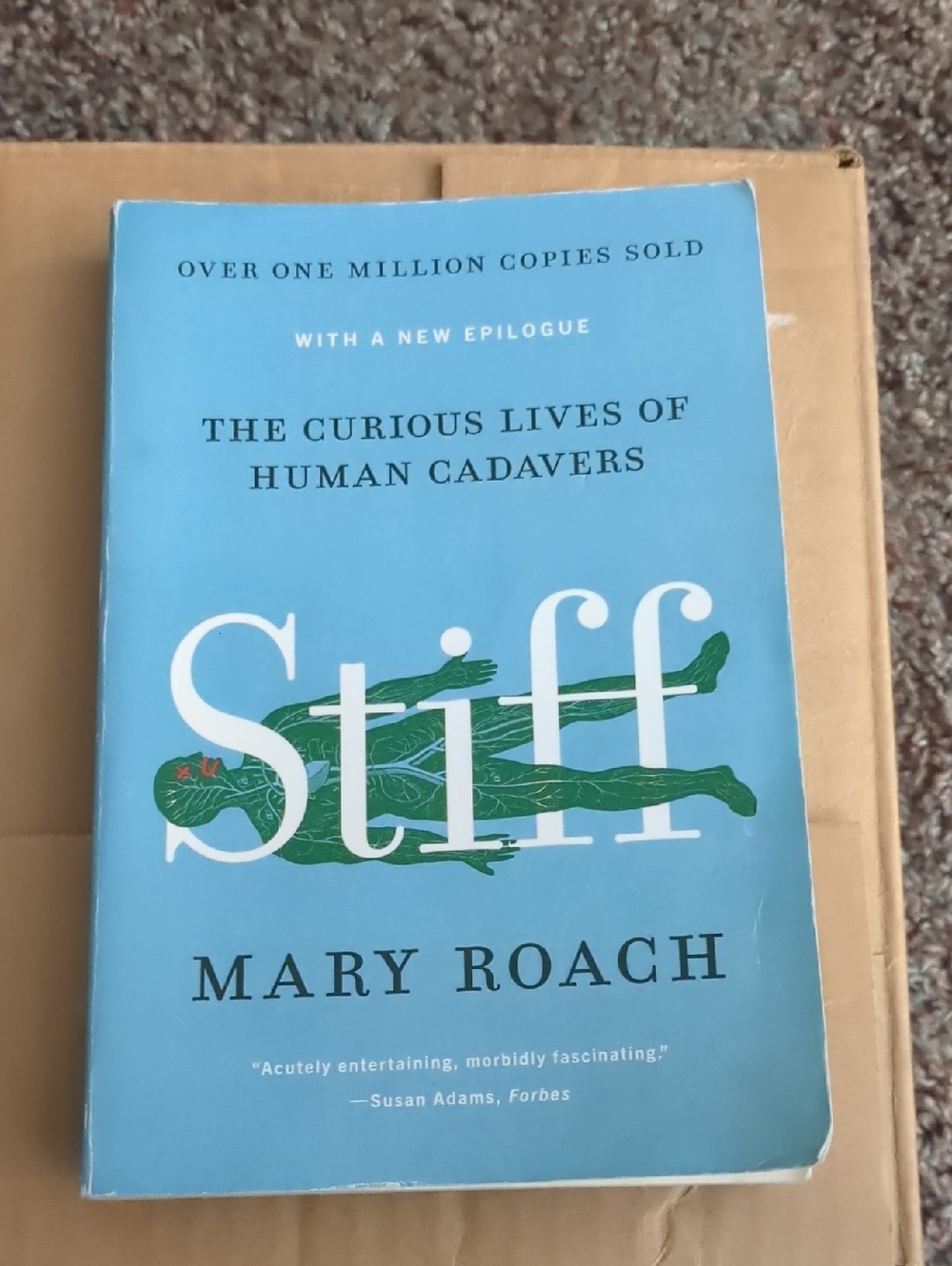 Stiff (Paperback)